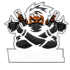 Wilson Ariel